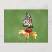 Monarch Briefkaart (Voorkant)