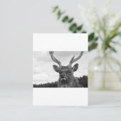 Monarch Briefkaart (Staand voorkant)