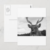 Monarch Briefkaart (Voorkant / Achterkant)