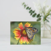 Monarch Briefkaart (Staand voorkant)