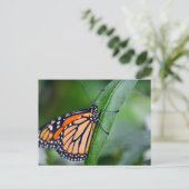 Monarch Briefkaart (Staand voorkant)