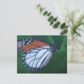 Monarch Briefkaart (Staand voorkant)