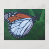 Monarch Briefkaart (Voorkant)