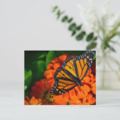 Monarch Briefkaart (Staand voorkant)