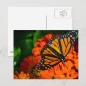 Monarch Briefkaart (Voorkant / Achterkant)