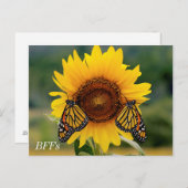 Monarch Butterfies on Sunflower Briefkaart (Voorkant / Achterkant)