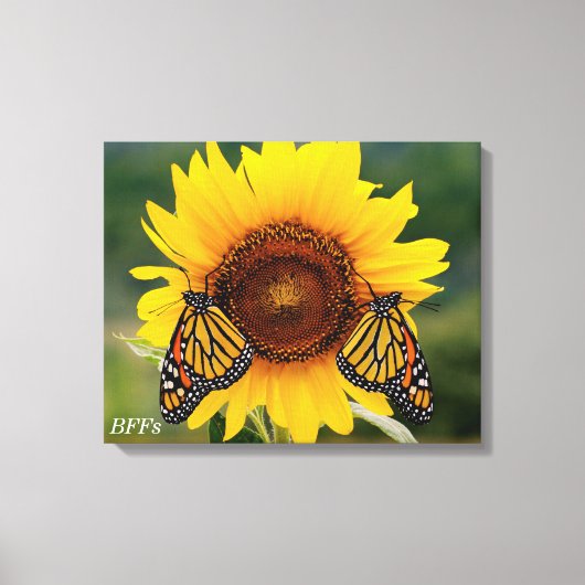 Monarch Butterfies on Sunflower Canvas Afdruk (Voorkant)