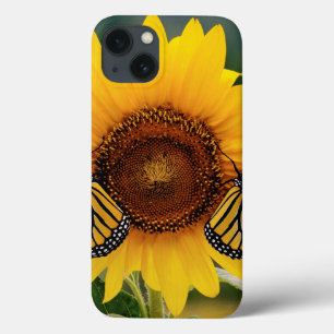 Monarch Butterfies on Sunflower iPhone 13 Hoesje