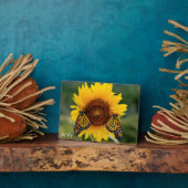 Monarch Butterfies on Sunflower Fotoplaat (Zijkant)