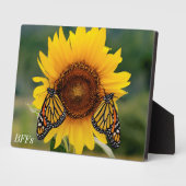 Monarch Butterfies on Sunflower Fotoplaat (Zijkant)