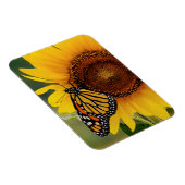 Monarch Butterfies on Sunflower Magneet (Rechterzijde)