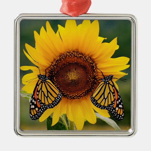 Monarch Butterfies on Sunflower Metalen Ornament (Voorkant)