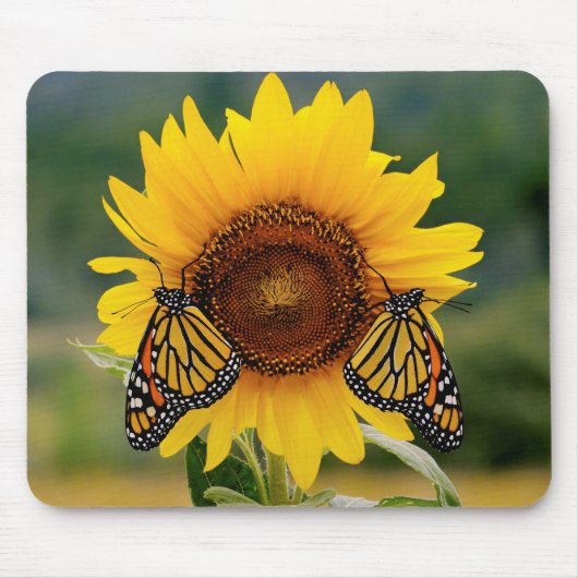 Monarch Butterfies on Sunflower Muismat (Voorkant)