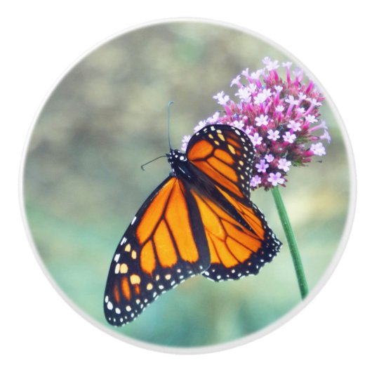 MONARCH BUTTERFLES OP DE STROOM KERAMISCHE KNOP (Voorkant)