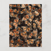Monarch Butterflies Briefkaart (Voorkant)