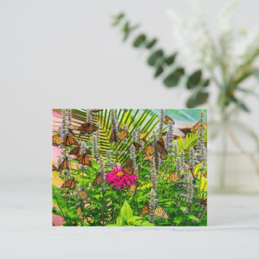 Monarch Butterflies Briefkaart (Staand voorkant)