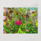 Monarch Butterflies Briefkaart (Voorkant)