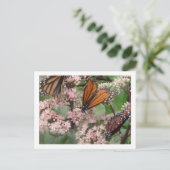 Monarch Butterflies Briefkaart (Staand voorkant)
