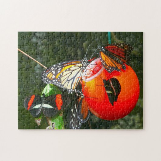 Monarch Butterflies Canada. Legpuzzel (Horizontaal)