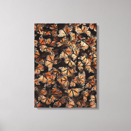 Monarch Butterflies Canvas Afdruk (Voorkant)