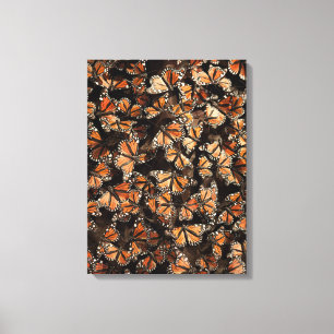 Monarch Butterflies Canvas Afdruk