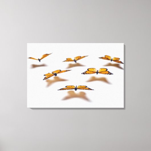 Monarch Butterflies Canvas Afdruk (Voorkant)