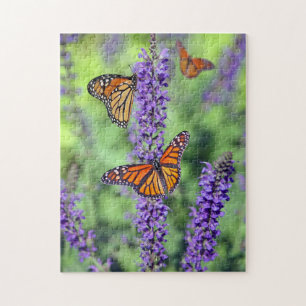 Monarch Butterflies die zich voedt met Paarse vent Legpuzzel