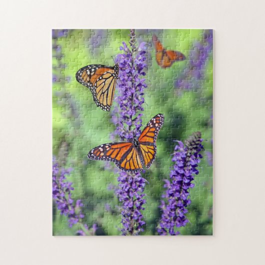 Monarch Butterflies die zich voedt met Paarse vent Legpuzzel (Verticaal)
