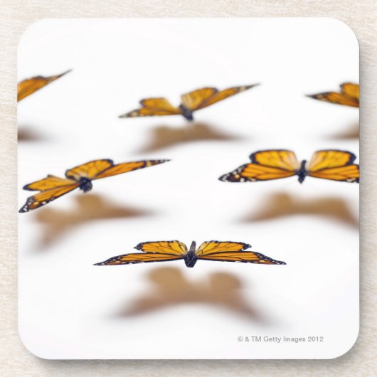 Monarch Butterflies Drankjes Onderzetter (Voorkant)