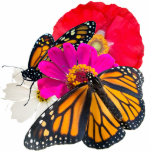 Monarch Butterflies en bloemen Staand Fotobeeldje<br><div class="desc">Een mooie toevoeging aan je tafel of plank. Monarchen herinneren ons eraan dat God bij ons en in de hand ligt. Vertrouw God.</div>