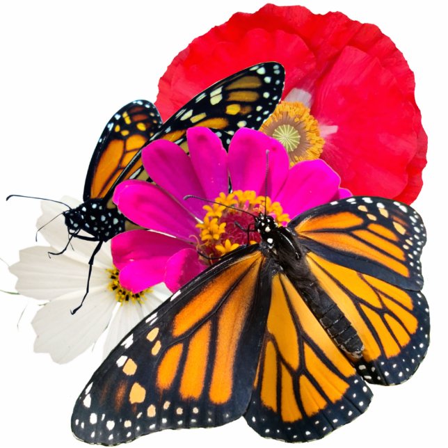 Monarch Butterflies en bloemen Staand Fotobeeldje (Voorkant)