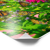 Monarch Butterflies Foto Uitbreiding Afdruk (Hoek)