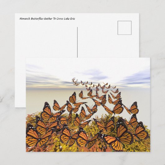 Monarch Butterflies Gather Briefkaart (Voorkant / Achterkant)