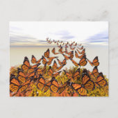 Monarch Butterflies Gather Briefkaart (Voorkant)