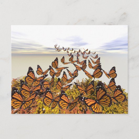 Monarch Butterflies Gather Briefkaart (Voorkant)