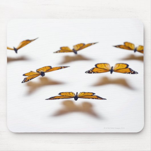Monarch Butterflies Muismat (Voorkant)