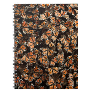 Monarch Butterflies Notitieboek