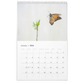 Monarch Butterflies One Page Calendar Kalender (Jan 2026)