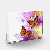 Monarch Butterflies op Paarse achtergrond Fotoblokken (Links)