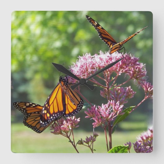 Monarch Butterflies op Purple Flowers Wall Clock Vierkante Klok (Voorkant)