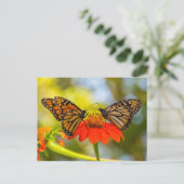 Monarch Butterflies op wilde bloemen Briefkaart (Staand voorkant)
