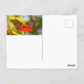 Monarch Butterflies op wilde bloemen Briefkaart (Achterkant)