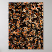 Monarch Butterflies Poster (Voorkant)