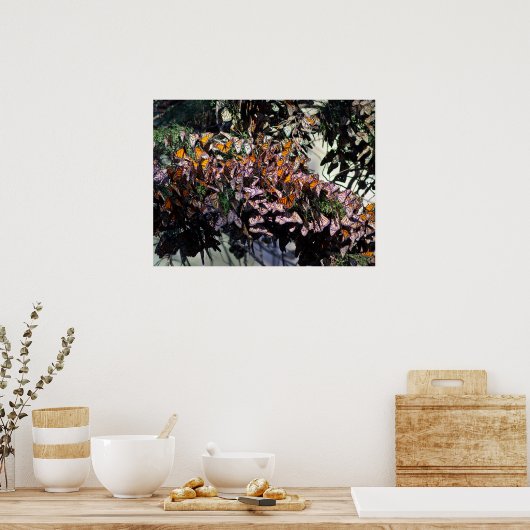 Monarch Butterflies Poster (Keuken)