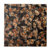 Monarch Butterflies Tegeltje (Voorkant)