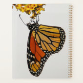 Monarch Butterfly 2026 Planner (Achterkant)