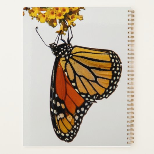 Monarch Butterfly 2026 Planner (Achterkant)