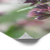 Monarch Butterfly_2 Poster (Hoek)