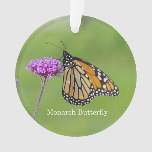 Monarch Butterfly acrylversiering Ornament (voorkant)