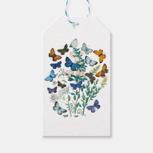 Monarch Butterfly - Aesthetic Butterflies Cadeaulabel (Voorkant)